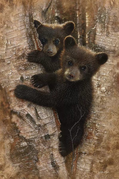Aspen Trees | Birch Trees: Curious Black Bear Cubs, Vertical by Collin Bogle