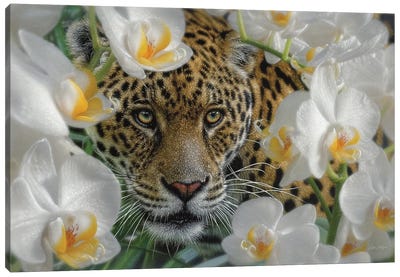 Orchid Oasis Jaguar Canvas Art Print - Collin Bogle