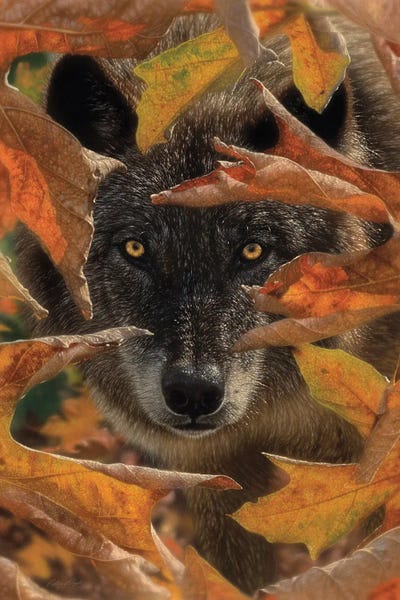 Lakehouse Décor: Autumn Black Wolf - Vertical by Collin Bogle