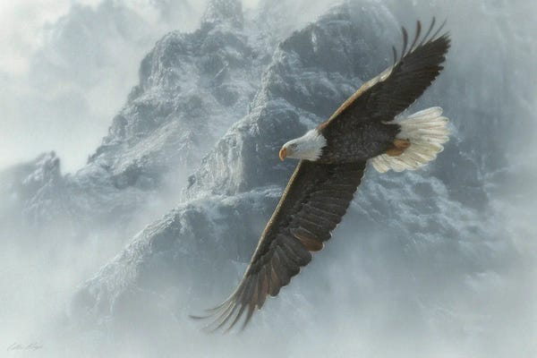 Hyperrealism Paintings: Sacred Ascent - Bald Eagle Flying by Collin Bogle