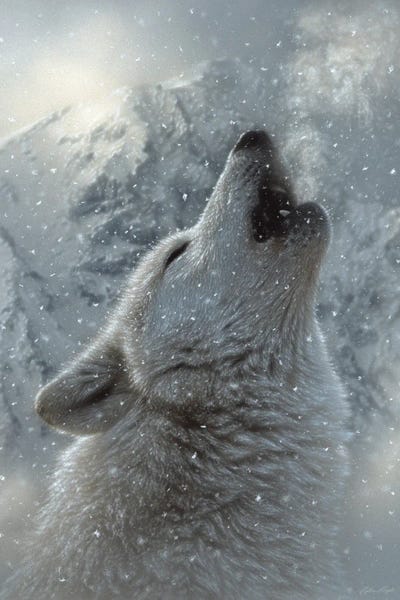 Collin Bogle: Breathtaking - Winter Howling Wolf by Collin Bogle