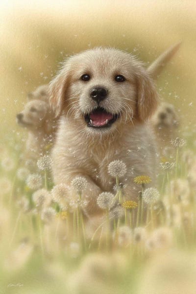 Collin Bogle: Dandelions - Golden Retriever, Vertical by Collin Bogle
