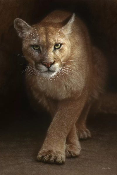 Lions: Emergence, Vertical by Collin Bogle