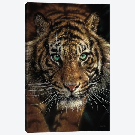 Eye Of The Tiger, Vertical Canvas Print #CBO26} by Collin Bogle Canvas Wall Art