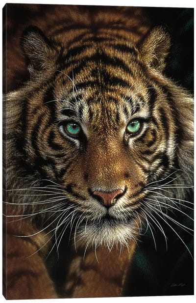 Eye Of The Tiger, Vertical Canvas Art Print - Tropical Décor