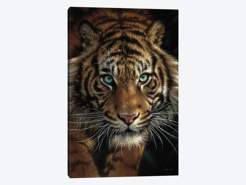 Eye Of The Tiger, Vertical by Collin Bogle 1-piece Canvas Print