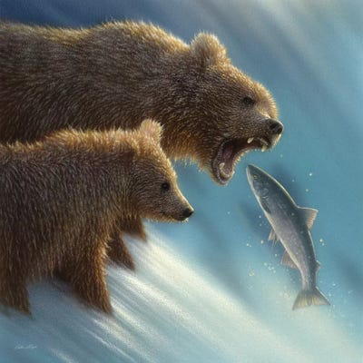 Brown Bear Fishing Lesson, Square by Collin Bogle acrylic art print