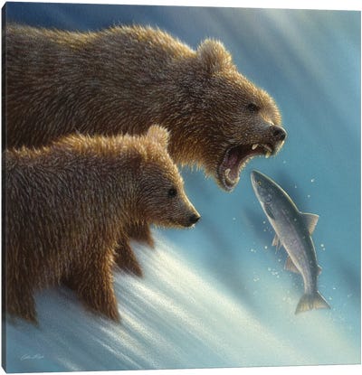 Brown Bear Fishing Lesson, Square Canvas Art Print - Collin Bogle