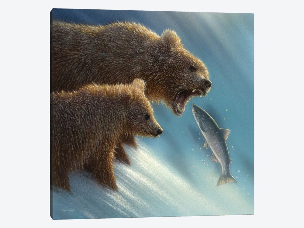 Brown Bear Fishing Lesson, Square by Collin Bogle 1-piece Canvas Artwork