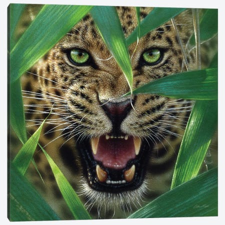 Jaguar Ambush, Square Canvas Print #CBO2} by Collin Bogle Canvas Artwork