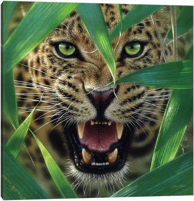 Jaguar Ambush, Square Canvas Art Print - Jaguar Art