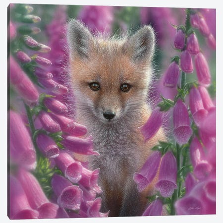 Foxgloves - Red Fox, Square Canvas Print #CBO30} by Collin Bogle Canvas Wall Art