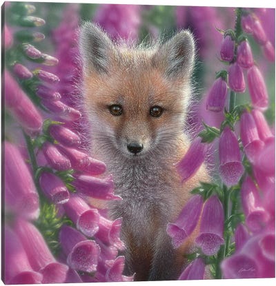 Foxgloves - Red Fox, Square Canvas Art Print - Fox Art