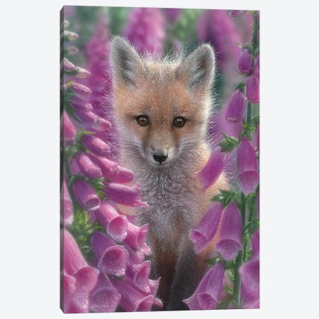 Foxgloves - Red Fox, Vertical Canvas Print #CBO31} by Collin Bogle Canvas Wall Art