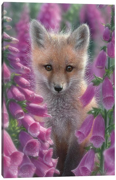 Foxgloves - Red Fox, Vertical Canvas Art Print - Fox Art