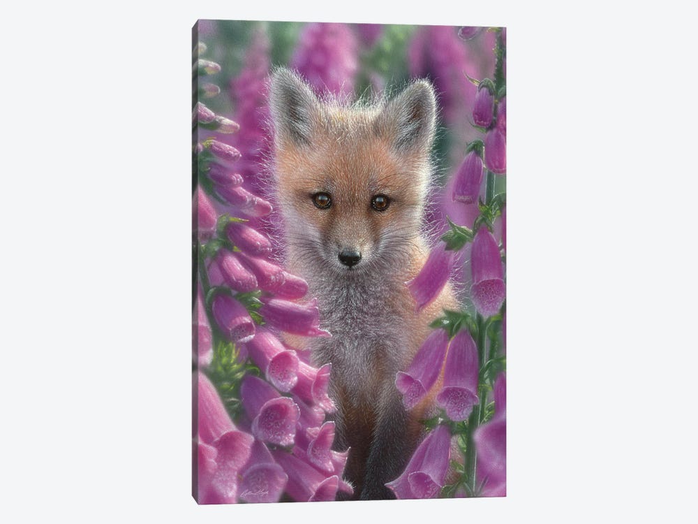 Foxgloves - Red Fox, Vertical by Collin Bogle 1-piece Art Print