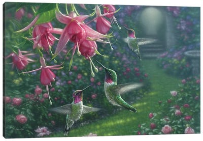 Hummingbird Haven, Horizontal Canvas Art Print - Hummingbird Art