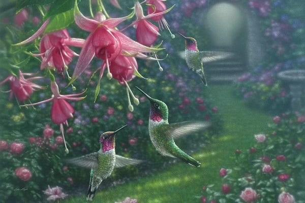 Hummingbirds: Hummingbird Haven, Horizontal by Collin Bogle