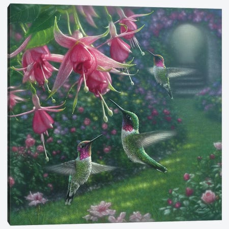 Hummingbird Haven, Square Canvas Print #CBO37} by Collin Bogle Canvas Print