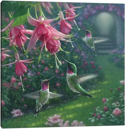 Hummingbird Haven, Square Canvas Art Print - Photorealism Art