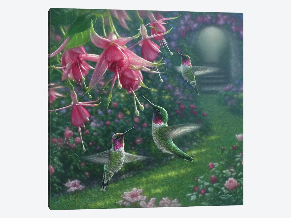 Hummingbird Haven, Square by Collin Bogle 1-piece Art Print