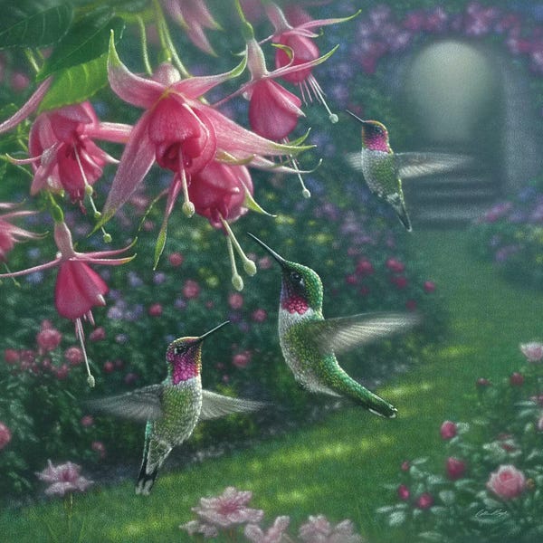 Hummingbirds: Hummingbird Haven, Square by Collin Bogle