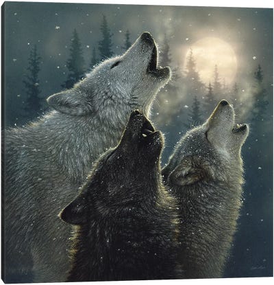 Howling Wolves In Harmony, Square Canvas Art Print - Wolf Art