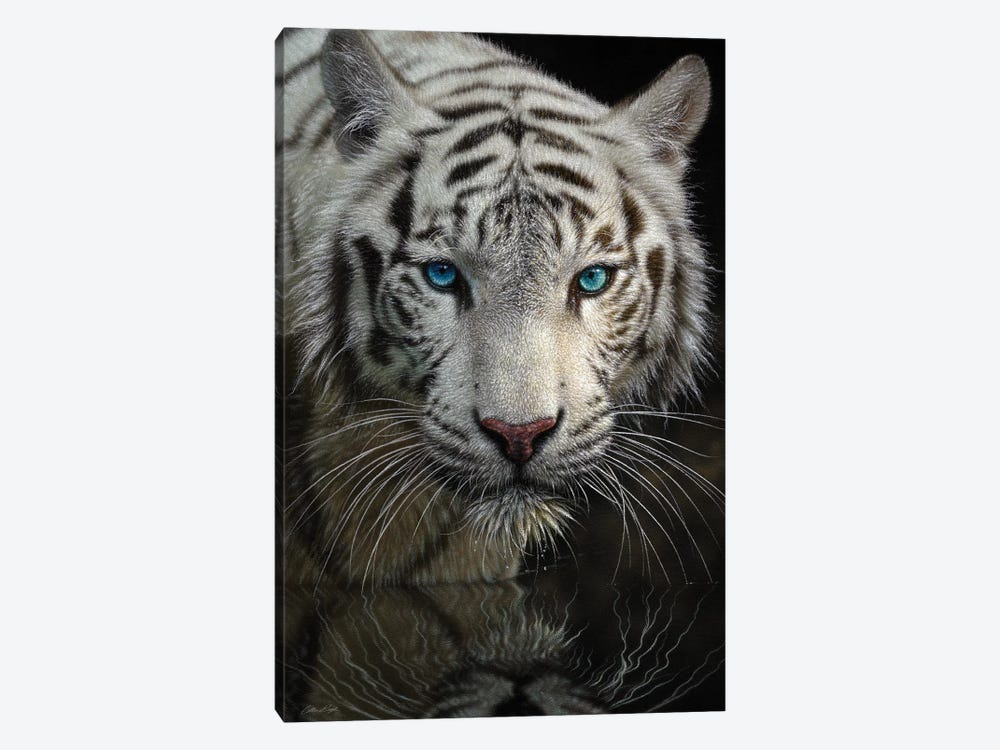 Into The Light - White Tiger, Vertical by Collin Bogle 1-piece Art Print