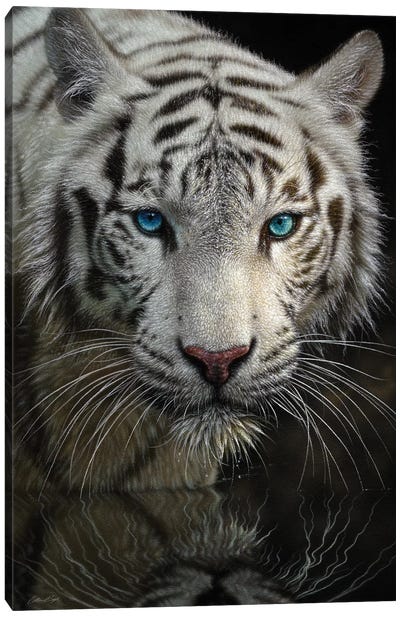 Into The Light - White Tiger, Vertical Canvas Art Print - Tiger Art