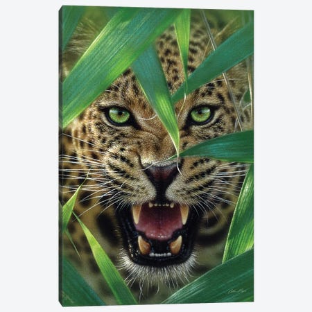 Jaguar Ambush, Vertical Canvas Print #CBO3} by Collin Bogle Canvas Wall Art