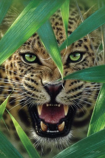 Collin Bogle: Jaguar Ambush, Vertical by Collin Bogle