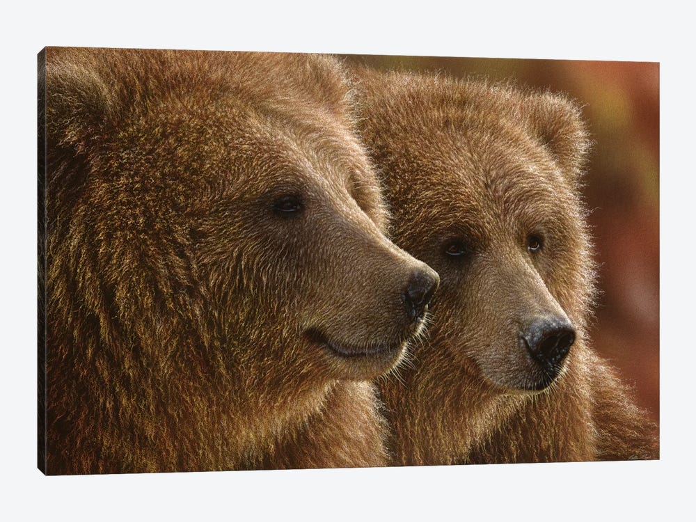 Lazy Daze - Brown Bears, Horizontal by Collin Bogle 1-piece Canvas Art