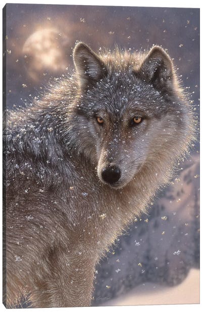Lone Wolf, Vertical Canvas Art Print - Photorealism Art