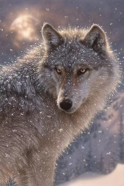 Wolves: Lone Wolf, Vertical by Collin Bogle
