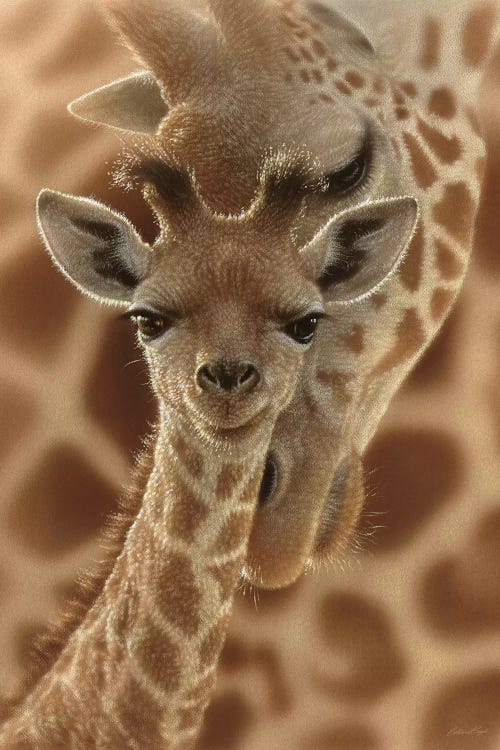 Newborn Giraffe, Vertical