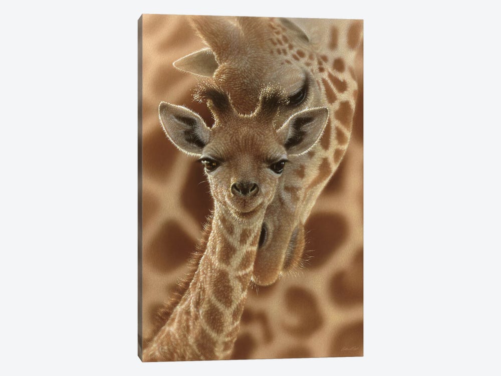 Newborn Giraffe, Vertical by Collin Bogle 1-piece Art Print