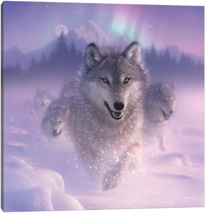 Northern Lights - Running Wolves, Square Canvas Art Print - Snowscape Art