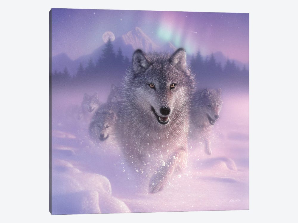 Northern Lights - Running Wolves, Square by Collin Bogle 1-piece Canvas Art