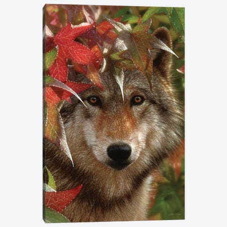 Autumn Encounter - Gray Wolf, Vertical Canvas Print #CBO4} by Collin Bogle Art Print