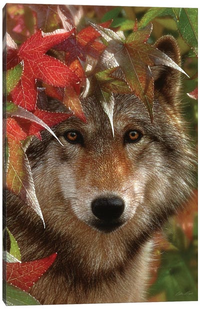 Autumn Encounter - Gray Wolf, Vertical Canvas Art Print - Photorealism Art