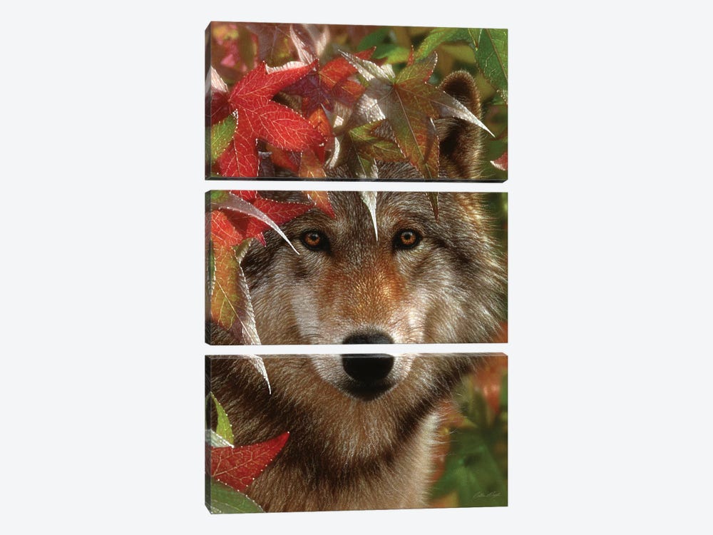 Autumn Encounter - Gray Wolf, Vertical 3-piece Canvas Print