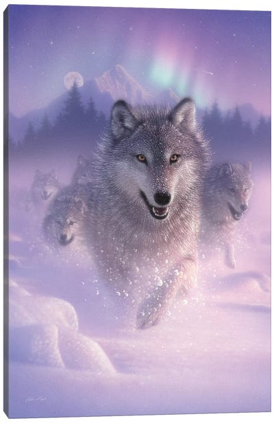 Northern Lights - Running Wolves, Vertical Canvas Art Print - Collin Bogle