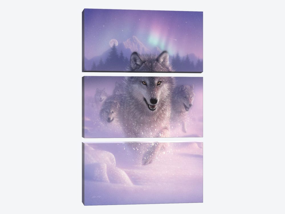 Northern Lights - Running Wolves, Vertical by Collin Bogle 3-piece Canvas Wall Art
