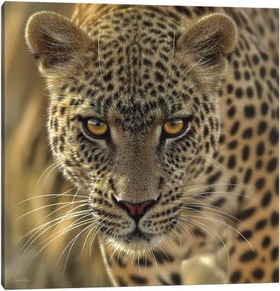 On The Prowl - Leopard, Square Canvas Art Print - Leopard Art
