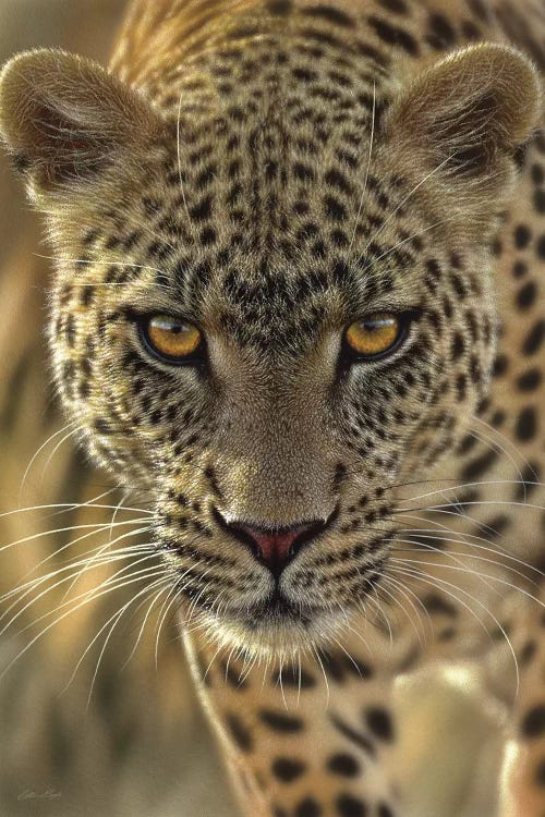 On The Prowl - Leopard, Vertical