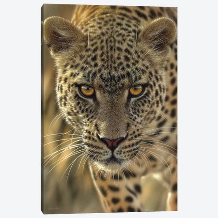 On The Prowl - Leopard, Vertical Canvas Print #CBO52} by Collin Bogle Canvas Art
