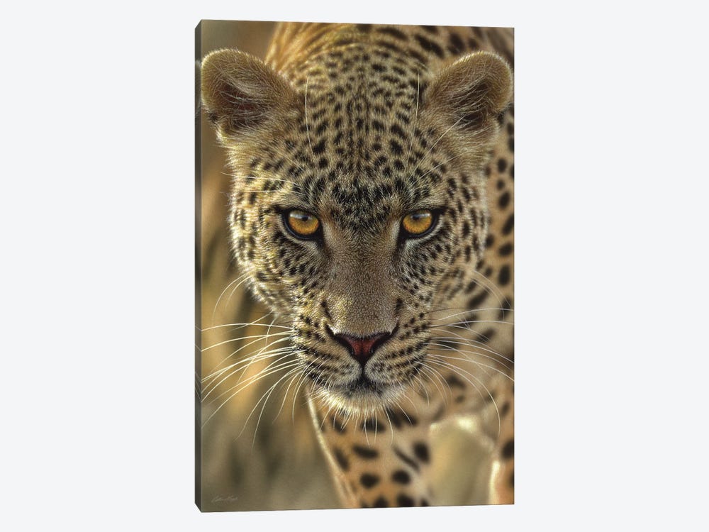 On The Prowl - Leopard, Vertical by Collin Bogle 1-piece Canvas Artwork