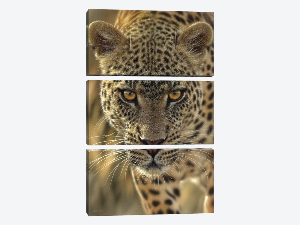 On The Prowl - Leopard, Vertical by Collin Bogle 3-piece Canvas Artwork
