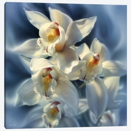 Orchids, Square Canvas Print #CBO53} by Collin Bogle Canvas Wall Art