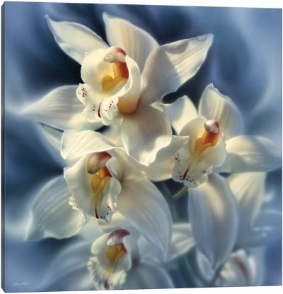 Orchids, Square Canvas Art Print - Orchid Art